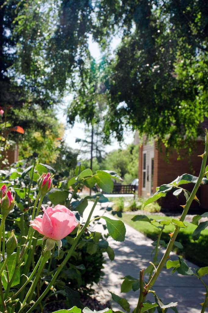 Sonesta Es Suites Fresno Facilități foto